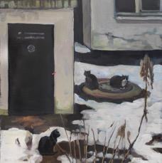 Зима.Коты.jpg